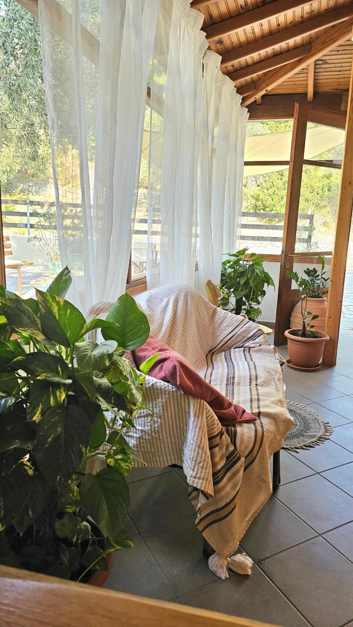 Pension Oasis Votsi  Esterno foto