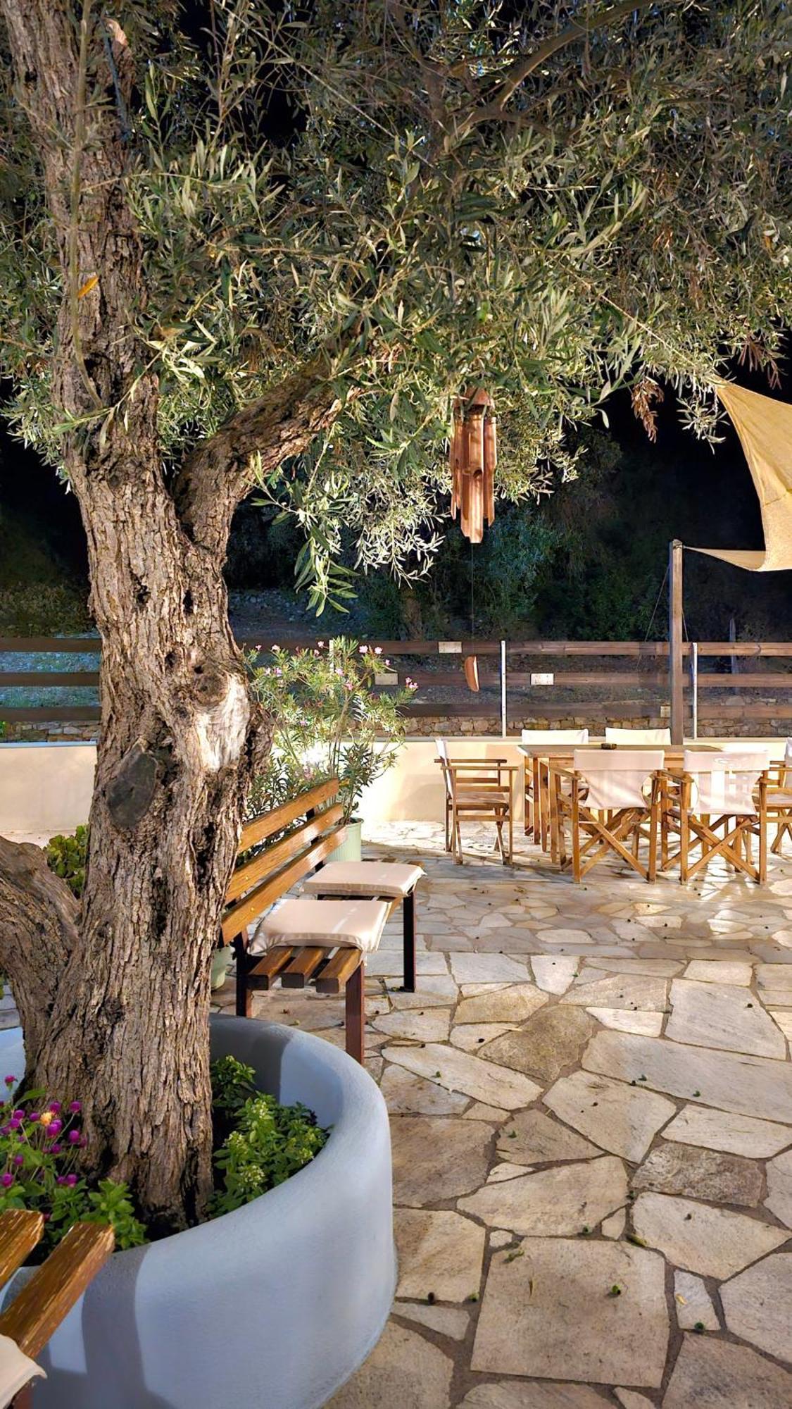 Pension Oasis Votsi  Esterno foto